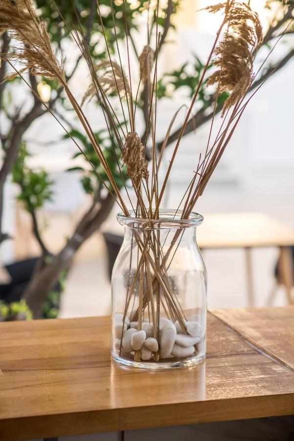 Riviere Residence Paros ナウサ エクステリア 写真